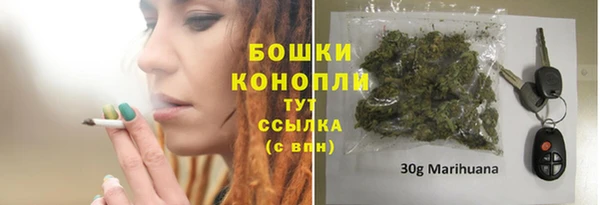 прущая мука Богородск