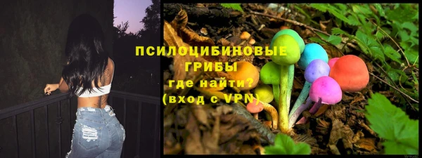 СК Богданович
