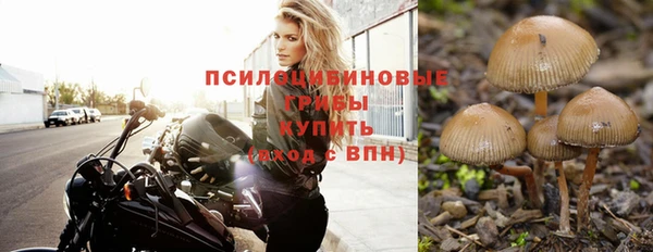 прущая мука Богородск
