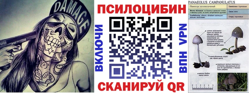 Галлюциногенные грибы Magic Shrooms  купить наркотик  Трёхгорный 