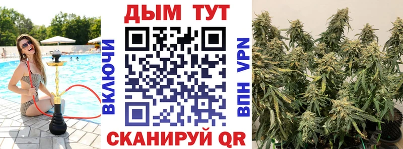 Конопля Amnesia  Трёхгорный 